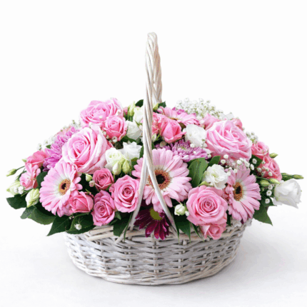 Bella Rosa