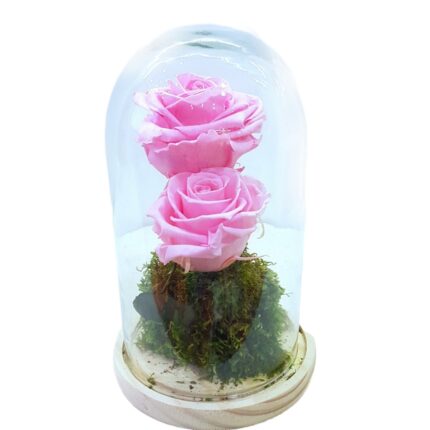 Forever Roses-Ροζ
