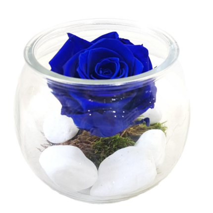 Forever Rose-Blue