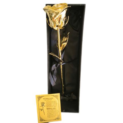 24k Gold Eternity Rose