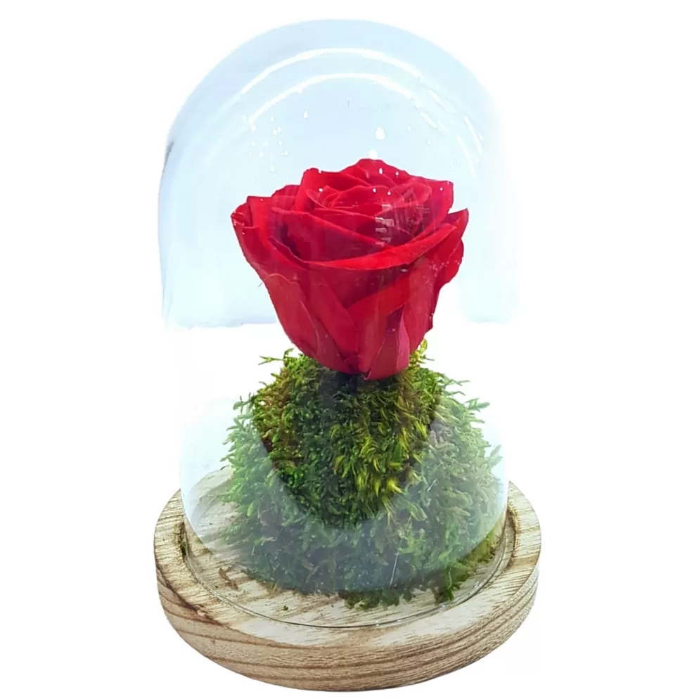 Forever Rose - Red with Stem