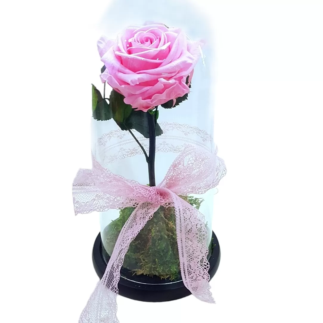 Forever Rose-Pink with Stem